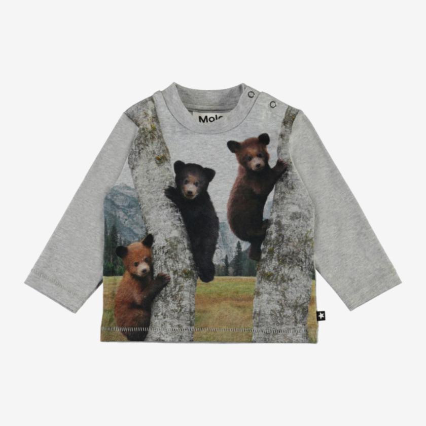Molo-Shirt - Bären - Body - MamaMilla